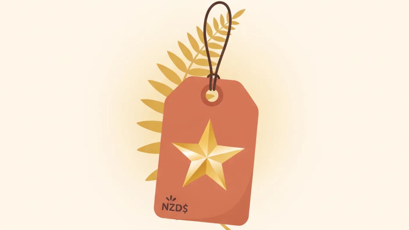 Budgeting on a low income in NZ — warm illustration of a careful weekly plan