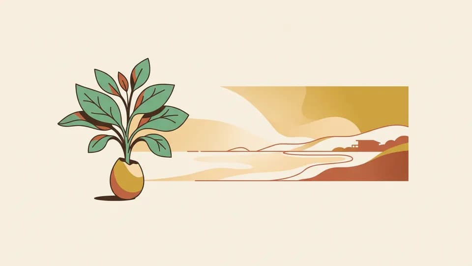 KiwiSaver, Made Simple — illustration